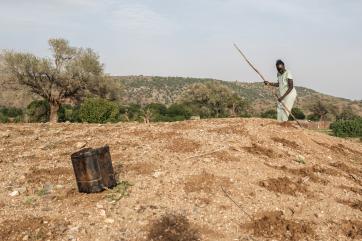 A sudanese farmer prepares land around her house.