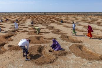 Kenyans work to restore arid rangelands.