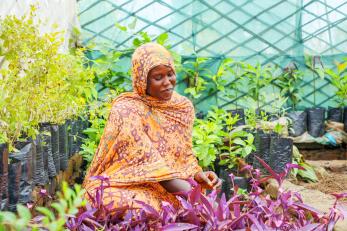 A person tending to plants.