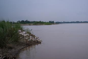 Bamboo bioengineering on riverbank in Nepal.