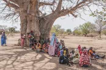 Women wait under the shade of a tree to register for food assistance.